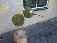 Crea Met Ingrid - Creatief met Natuurlijk materiaal | Crea Met Ingrid - Creatief met Natuurlijk materiaal